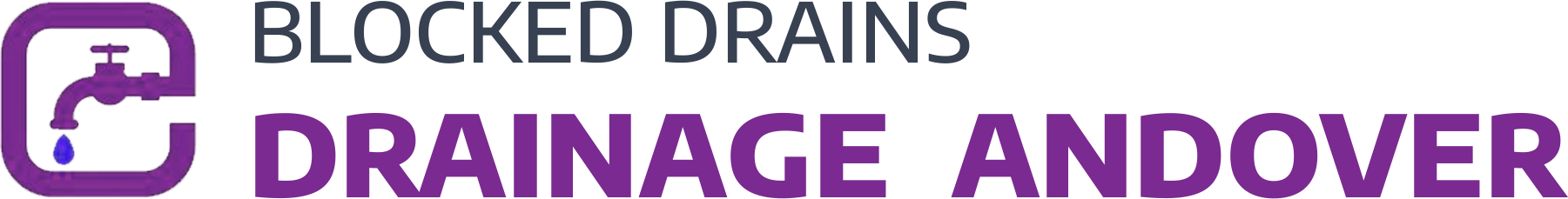website logo